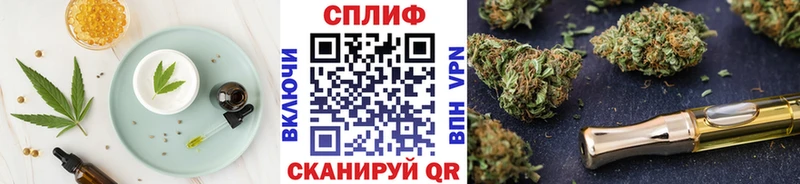 Купить закладки  Светлогорск  Cannafood конопля 