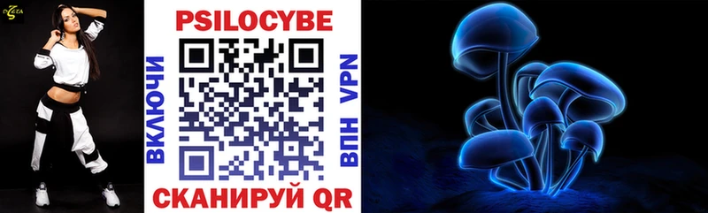 Псилоцибиновые грибы Magic Shrooms  Купить закладки  Светлогорск 