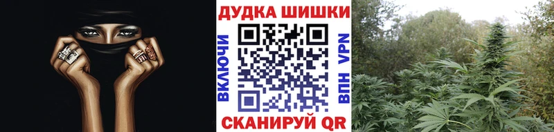 Купить  Светлогорск  Бошки Шишки конопля 